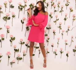 Adrianna Papell Wedding Guest Dresses*Knit Crepe One Shoulder Long Sleeve Dress With Feather Accents In Bright Rose