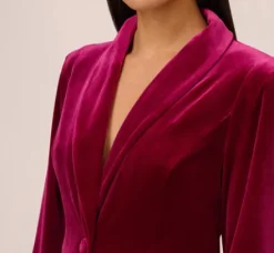 Adrianna Papell Wedding Guest Dresses*Long Sleeve Velvet Tuxedo Dress With Feather Hem In