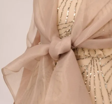 Adrianna Papell Shawls & Wraps*Organza Wrap Jacket With Short Sleeves In