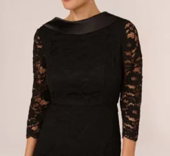 Adrianna Papell Wedding Guest Dresses|Day Dresses*Roll Neck Lace Dress With Sheer Elbow Sleeves In