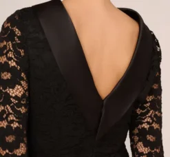 Adrianna Papell Wedding Guest Dresses|Day Dresses*Roll Neck Lace Dress With Sheer Elbow Sleeves In