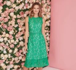 Adrianna Papell Wedding Guest Dresses|Day Dresses*Sleeveless Lace Fit And Flare Dress With Sheer Details In Botanic Green